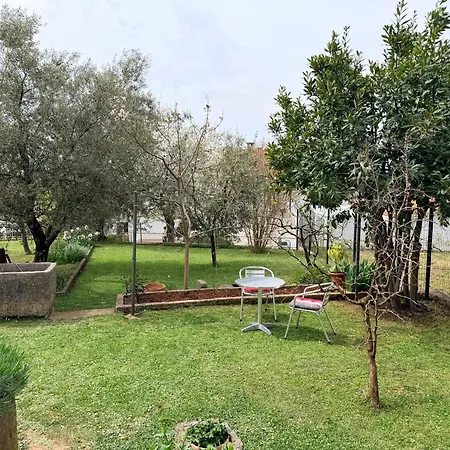 Apartmant Bella Vista & Garden
